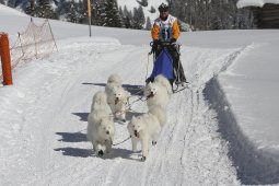 Kandersteg 2013